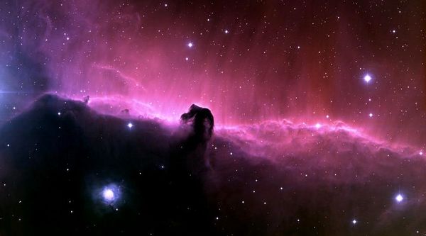 Horsehead.jpg