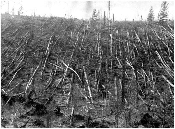 Tunguska-photo.jpg